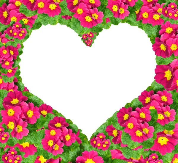 Çiçek kalp — Stok fotoğraf