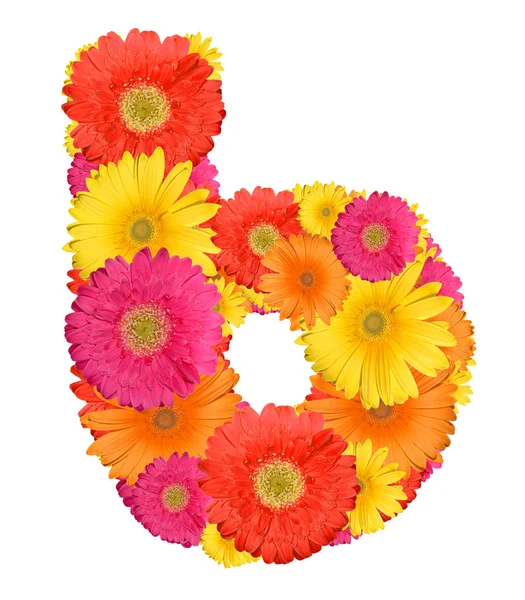 stock image Alphabet of Gerbera