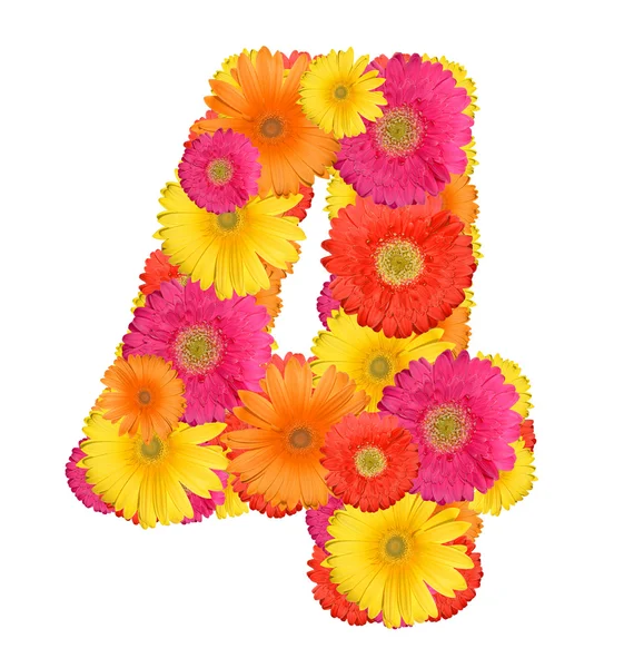 stock image Alphabet of Gerbera