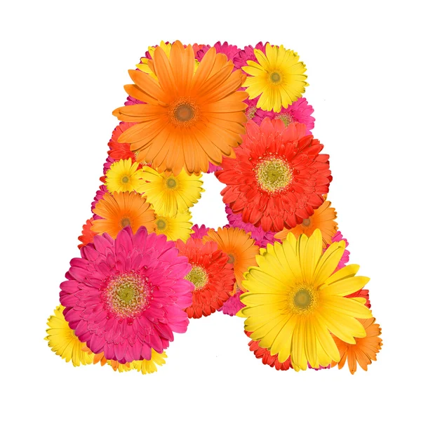 Alfabet van gerbera — Stockfoto