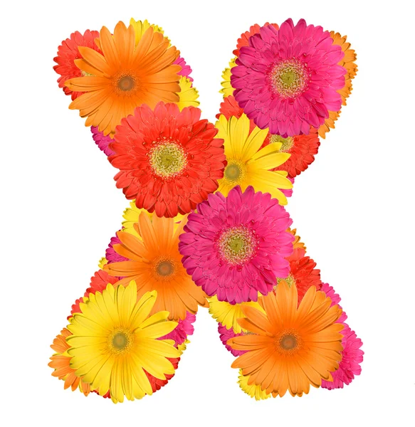 stock image Alphabet of Gerbera