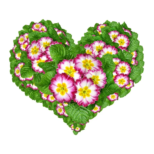 Flower heart isolated — Stock Photo, Image