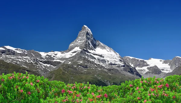 Matterhorn - schweiziska Alperna — Stockfoto