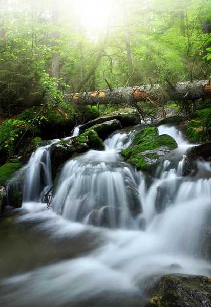 Wasserfall — Stockfoto