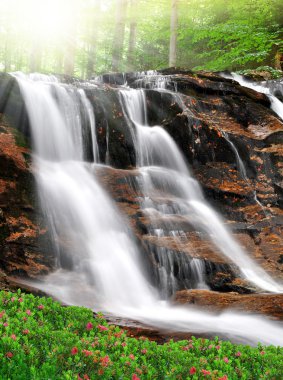 Beautiful waterfalls clipart