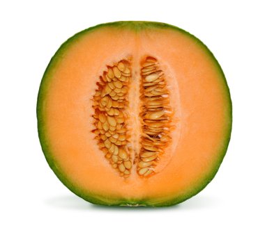 Cantaloupe melon isolated clipart