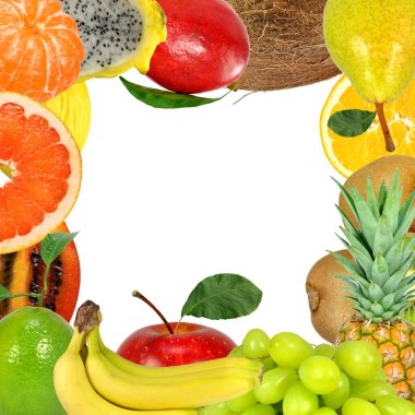 Fruit frame clipart