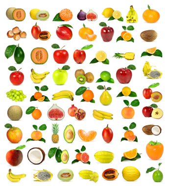 Large collection of fruit clipart