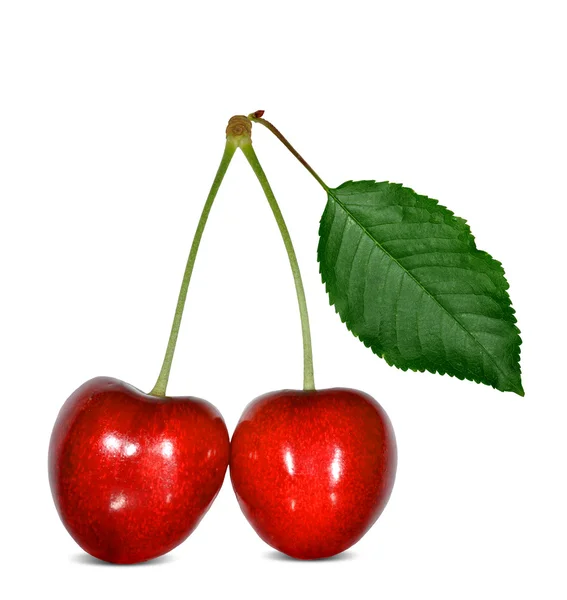 Cherry geïsoleerd — Stockfoto