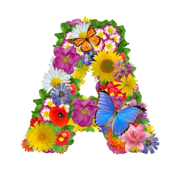Abeceda květin a motýlů — Stock fotografie