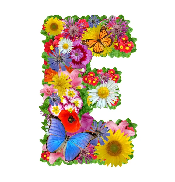 Alphabet de fleurs et de papillons — Photo