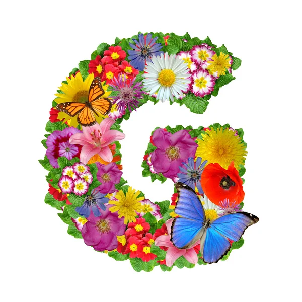 Alfabeto dei fiori e delle farfalle — Foto Stock
