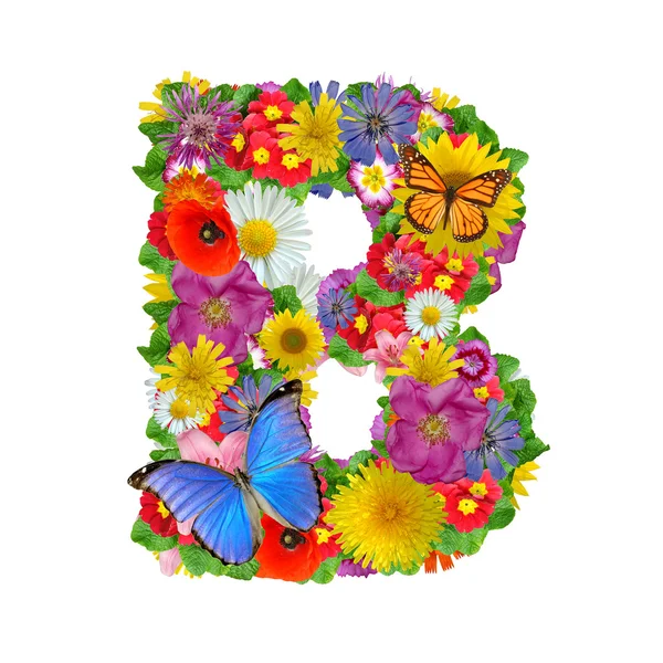 花と蝶のアルファベット — ストック写真
