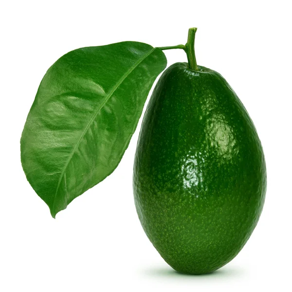 Avocado met bladeren — Stockfoto
