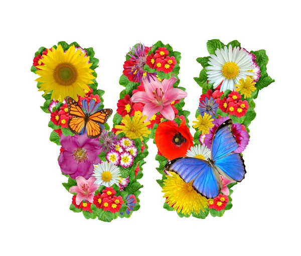 Alfabetet av blommor och fjäril — Stockfoto