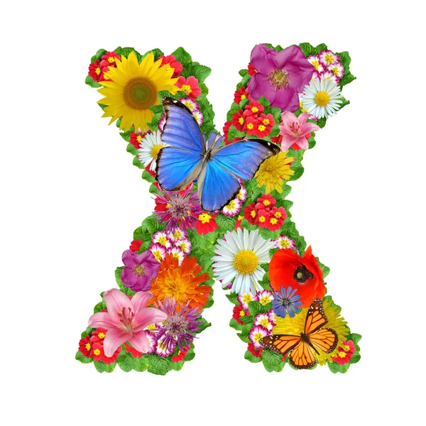Alfabet over blomster og sommerfugl – stockfoto