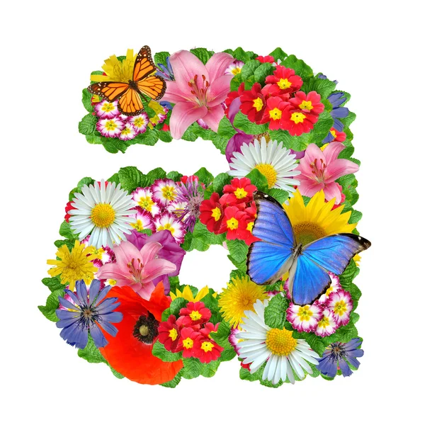 花卉和蝴蝶字母表 — 图库照片