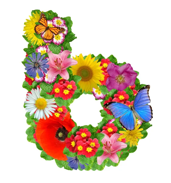 Alphabet der Blumen und des Schmetterlings — Stockfoto