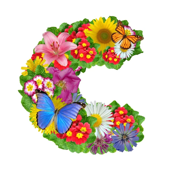 Alfabet van bloemen en vlinder — Stockfoto