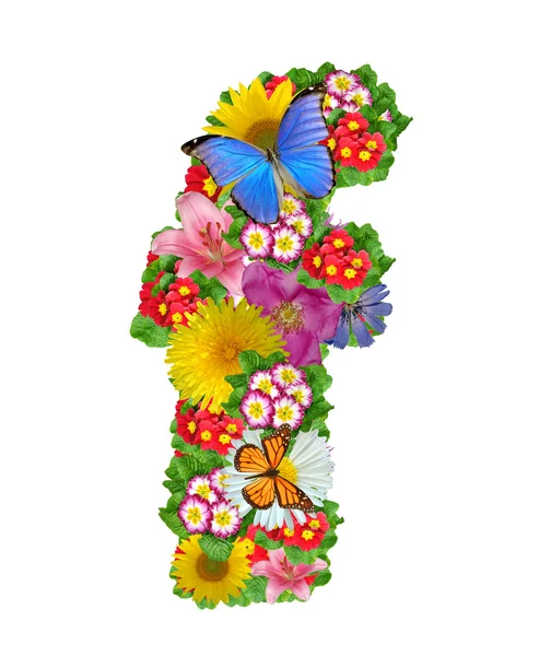 Алфавит цветов и бабочек — стоковое фото