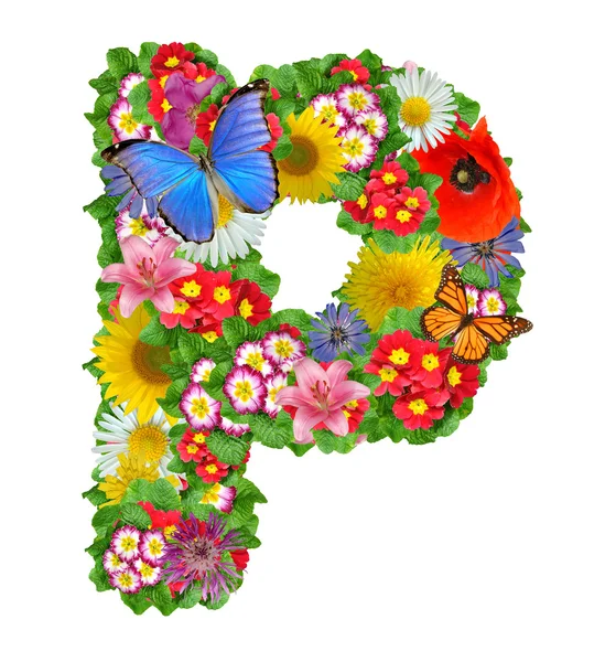 Abeceda květin a motýlů — Stock fotografie