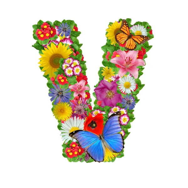 Alphabet de fleurs et de papillons — Photo