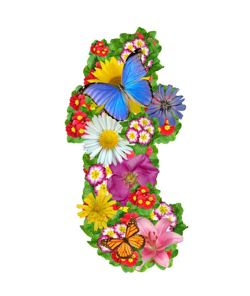 Alfabeto dei fiori e delle farfalle — Foto Stock