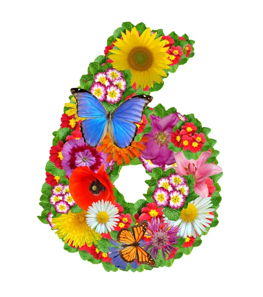 Алфавит цветов и бабочек — стоковое фото