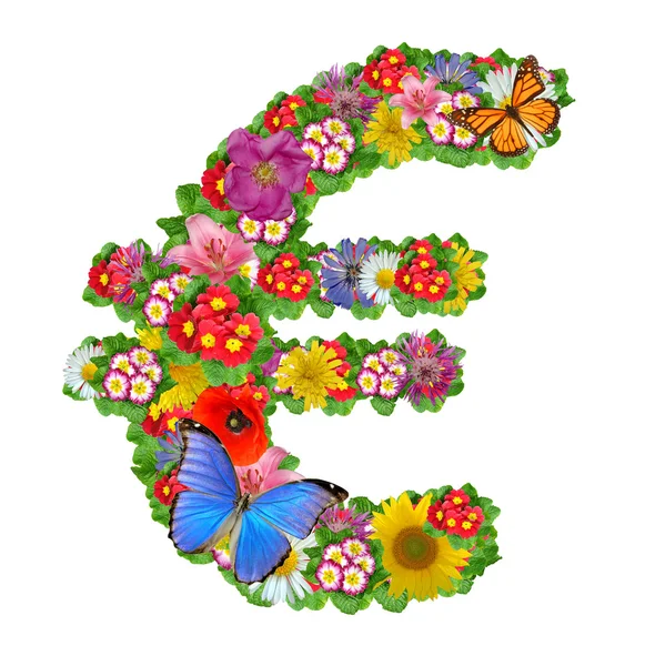 Eurosymbool van bloemen — Stockfoto