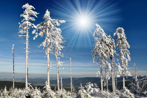 Invierno en el parque nacional Sumava — Foto de Stock