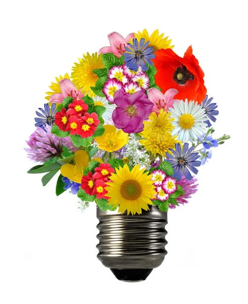 Лампочка из цветов — стоковое фото
