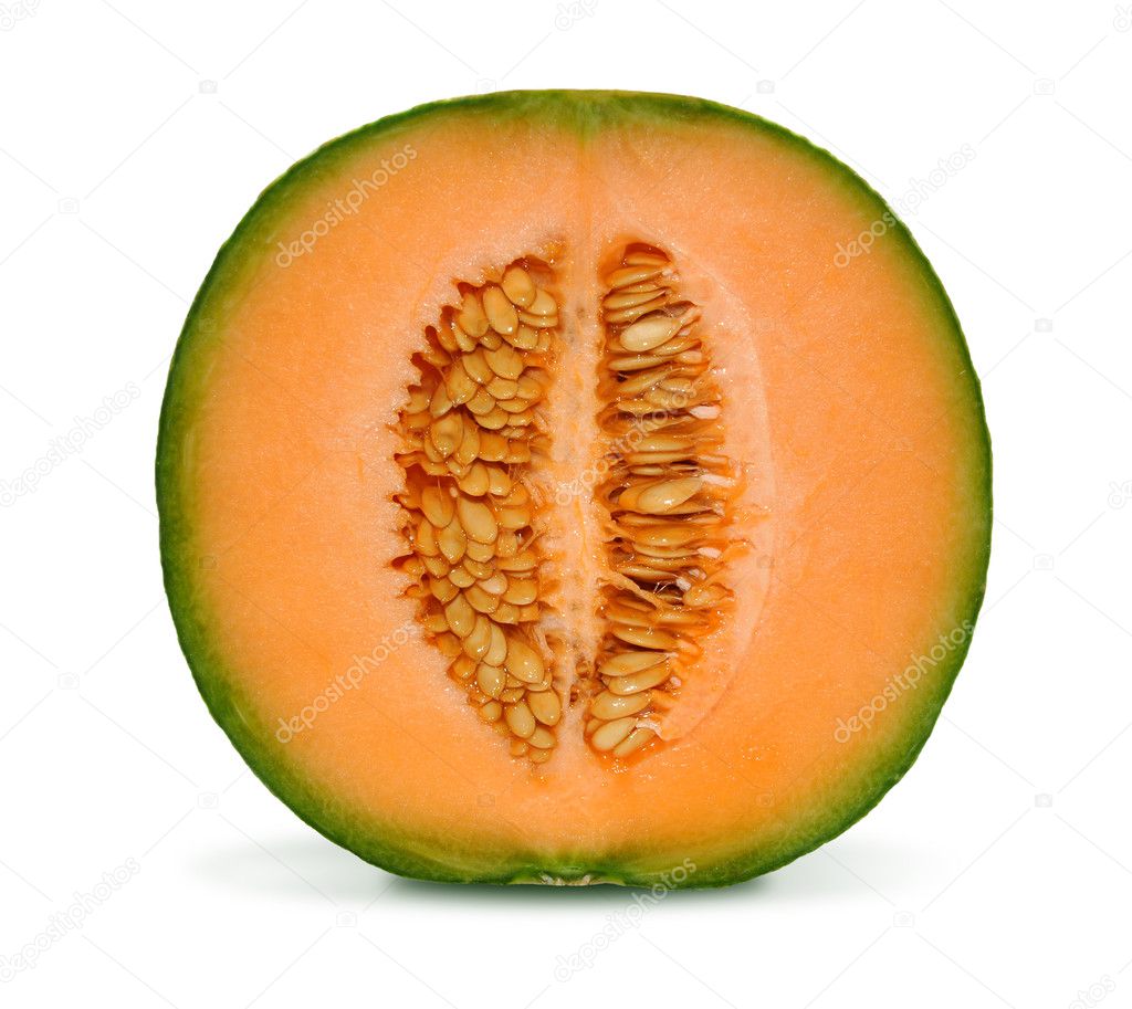 Cantaloupe melon isolated