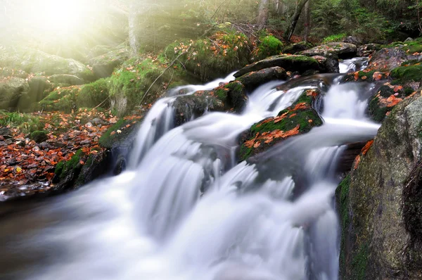 Arroyo de otoño en el parque nacional Sumava — Foto de Stock