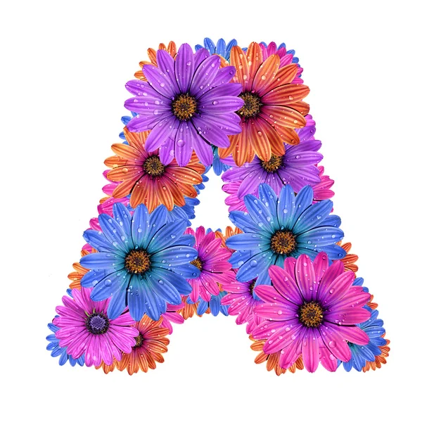 Alfabet van kleurrijke dewy bloemen — Stockfoto