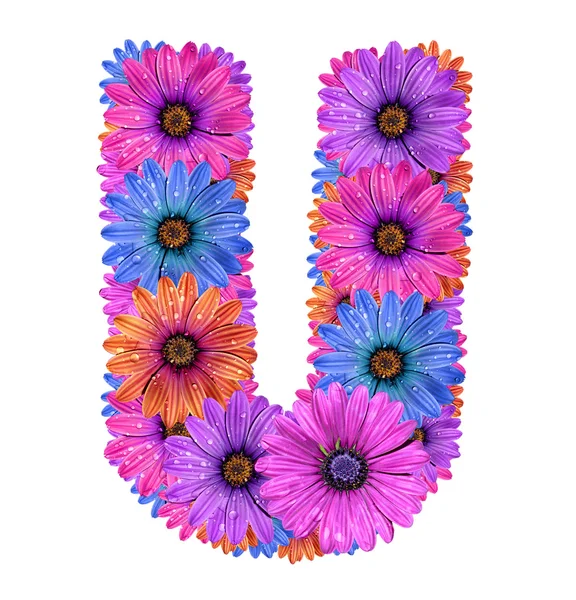 Alfabetet av färgglada daggiga blommor — Stockfoto
