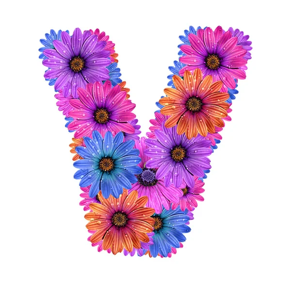 रंगीन ओवी फूलों का वर्णमाला — स्टॉक फ़ोटो, इमेज