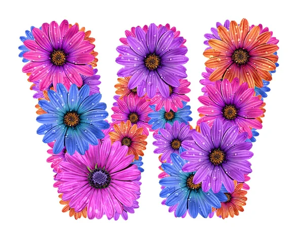 Abeceda barevné orosené květin — Stock fotografie