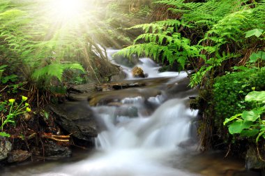 Waterfall in the national park Sumava clipart