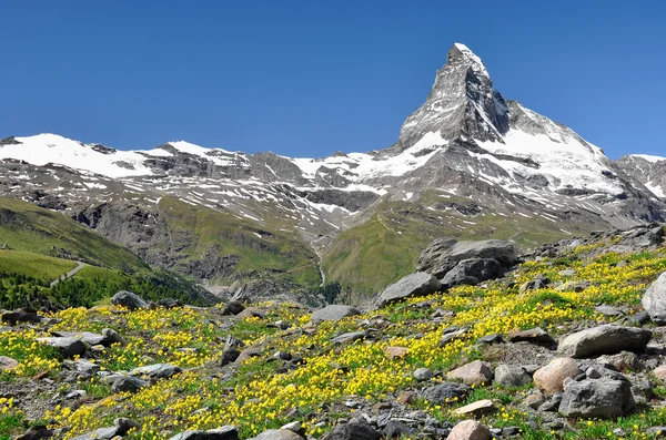 Matterhorn - İsviçre Alpleri — Stok fotoğraf