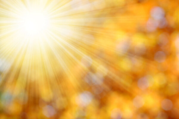 Autumnal natural background blurring with sun rays