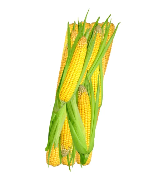 Abeceda kukuřice — Stock fotografie