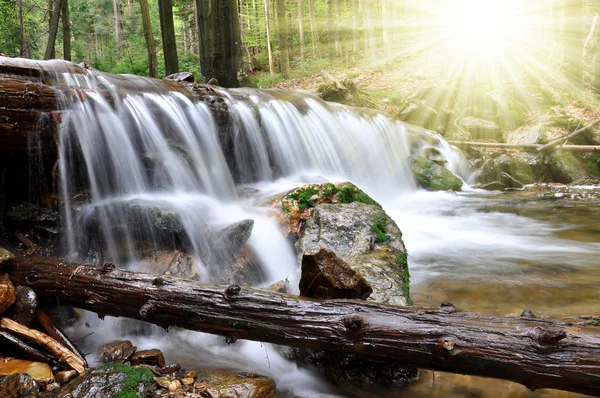 Waterfall in the Czech Republic — Stock Photo, Image