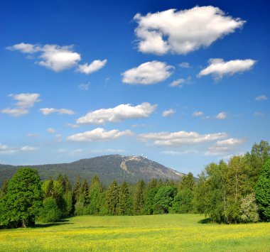 Spring landscape in the Bavarian Forest National Park clipart