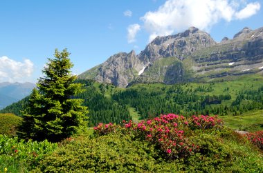 dağ brenta dolomites İtalya