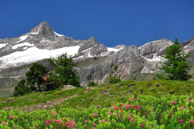 zinalrothorn - İsviçre Alpleri