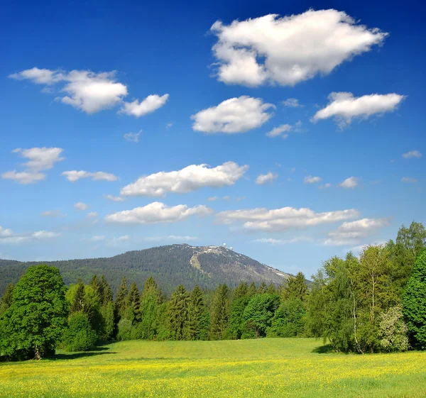 Våren landskapet i nationalparken bayersk skog — Stockfoto