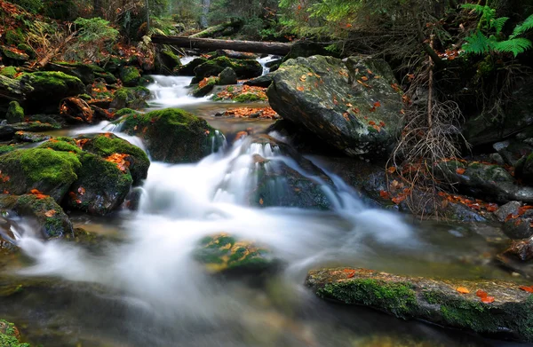 Höstens creek — Stockfoto