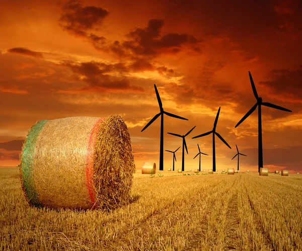 Fardos de palha em terras agrícolas com turbina eólica — Fotografia de Stock