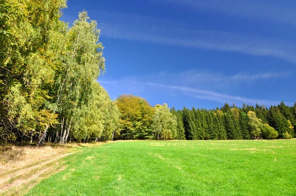 stock image Spring landscape in the national park Sumava