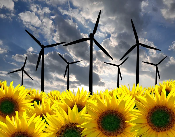 Větrná turbína s slunečnice — Stock fotografie